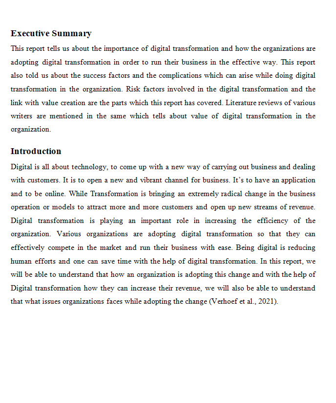 SIS Successful Information Systems Sample Paper-2