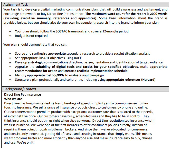 BM7004 Individual Digital Marketing Plan-1