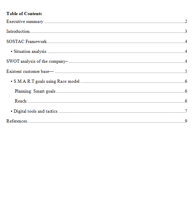 BM7004 Individual Digital Marketing Plan-2